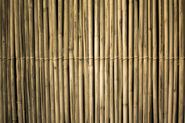 Eco-Friendly Door Options - Bamboo door.