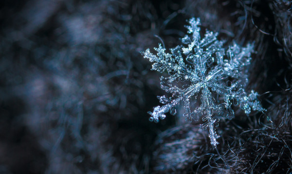 Energy-Efficient Fridges - defrosting